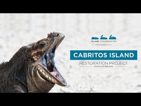 Cabritos Island Restoration Project