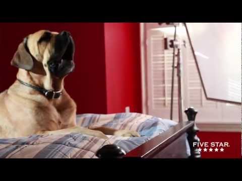 Five Star Behind The Scenes: Cinco, The Diva