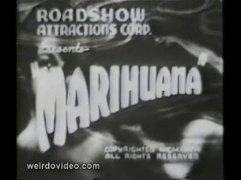 afbeelding Trailer:  Marihuana - 1936