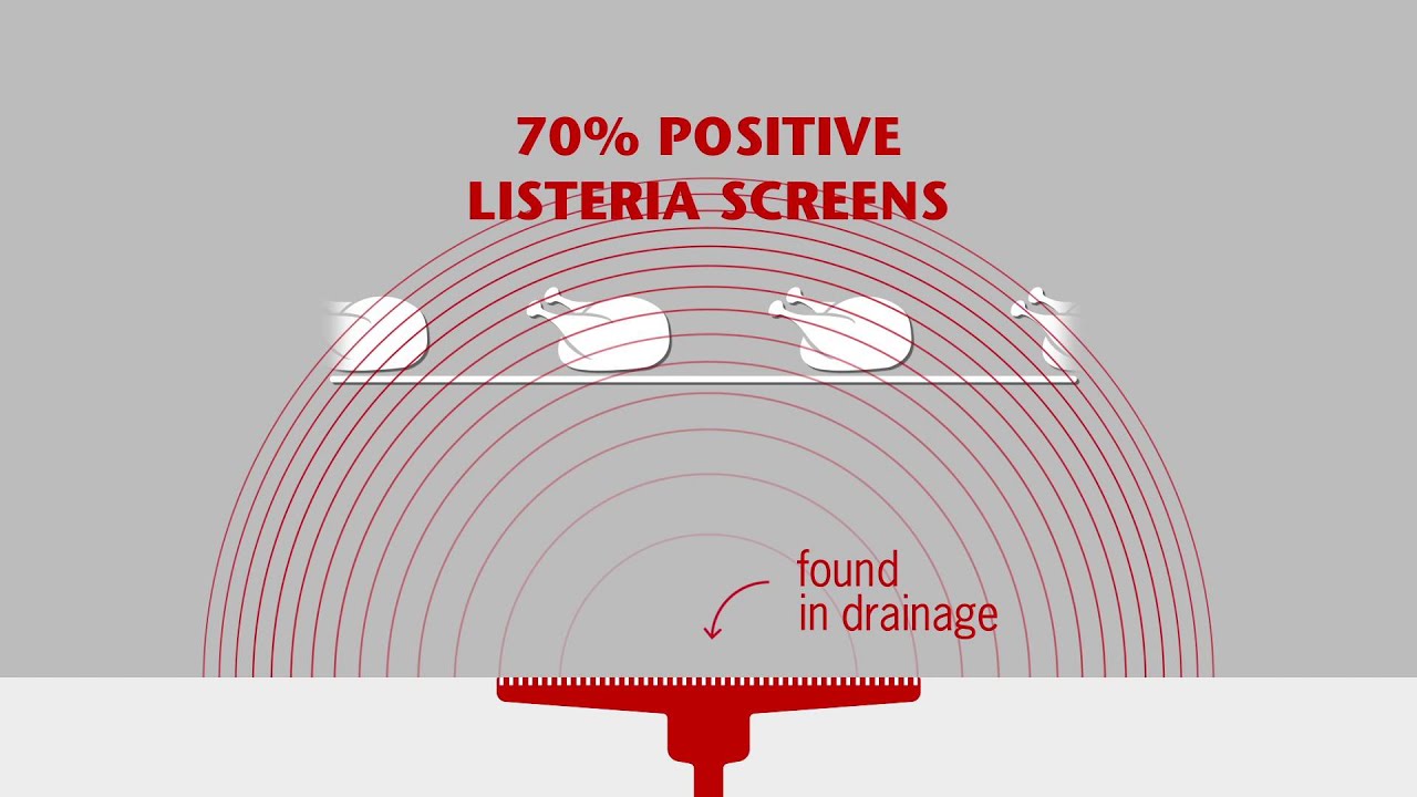 Siguranta procesarii alimentelor prin controlul igienei