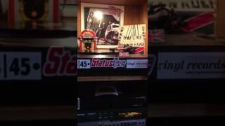 Stray cats/ reckless