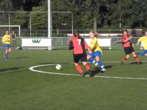 Blauw Geel 1 De Treffers 1