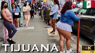 Tijuana Street Walk  From Zona Norte to Centro’s Bustling Vendors  (Part-3)