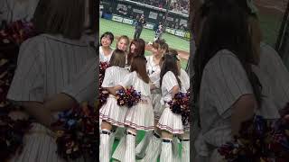 #shorts 《プロ野球 チアリーダー》アジアプロ野球チャンピオンシップ　ヤクルトスワローズ Passion   APBC2023   東京ドーム 日本優勝　勝利の女神　①《BraveTV》