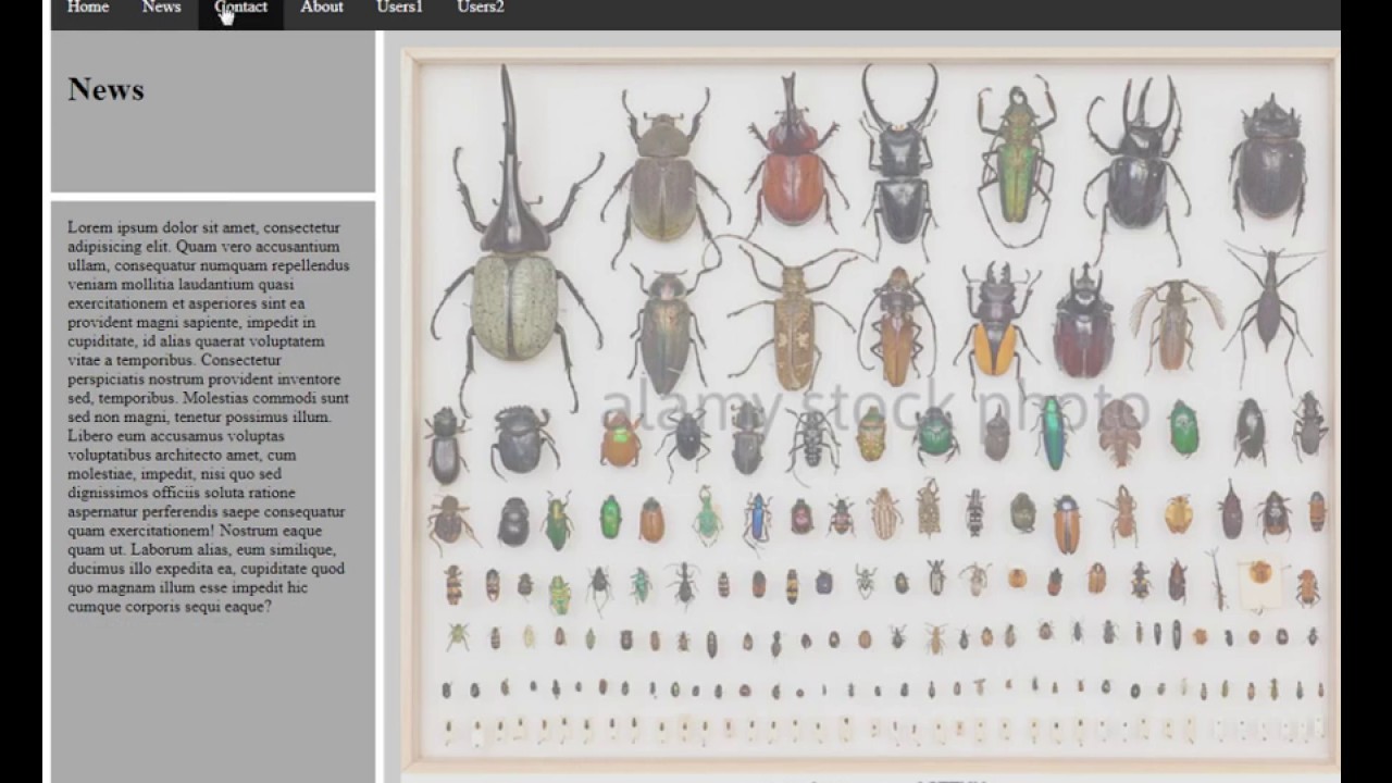 Codeanywhere Tutorials :: Include head.php and foot.php