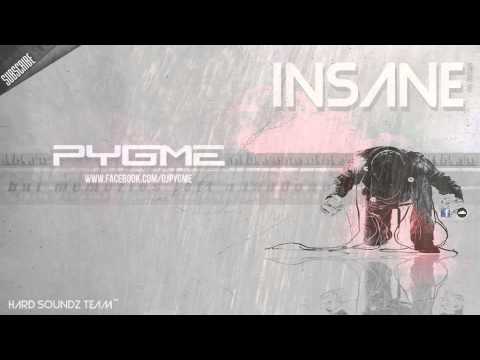 DJ Pygme - Insane [HARD DANCE/HARDSTYLE] [2013]