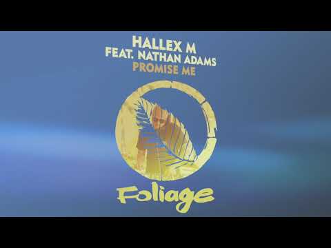 Hallex M Feat. Nathan Adams - Promise Me