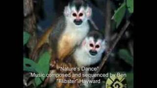 The Travelling Exotic - Nature's Dance