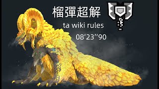 [舊作] 魔物獵人冰原 黑龍裝小問題