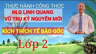 Công thức Lực từ tác dụng lên đoạn dây điện, vật lí 11