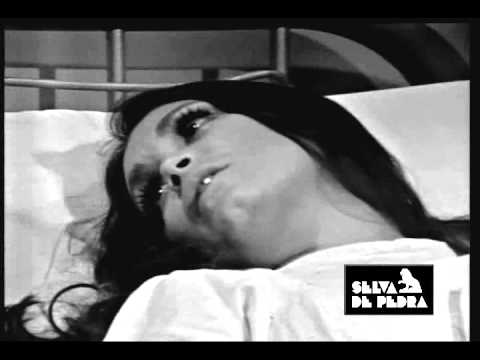 Clipe de Lançamento - Box Selva de Pedra