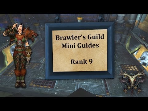 Brawler's Guild Mini Guides - Rank 9 - Hunter PoV