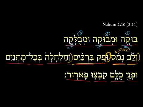 Nahum 2:11