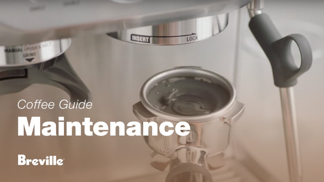 How to perform a cleaning cycle