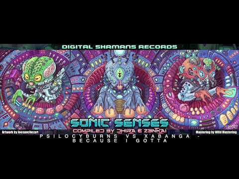 PSILOCYBURNS VS XABANGA -  Because I Gotta (VA Sonic Senses by Z3nkai & Dhira CD1)