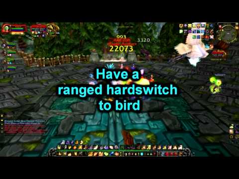 Rise of the Zandalari 4.1  (ZA) | How-to Akil'zon