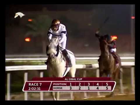 Race 7 Al dibal cup