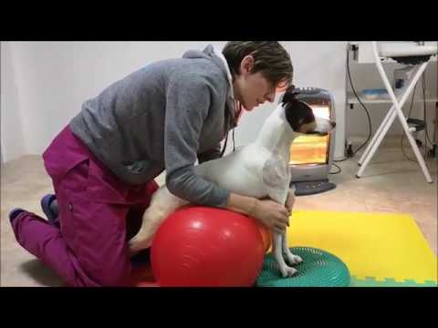 Rehabilitaria. Resolución de hernia cervical con tetraplejia