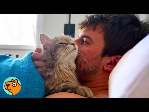 Cat Wins Over the Guy Who Never Wanted a Cat | Cuddle Buddies