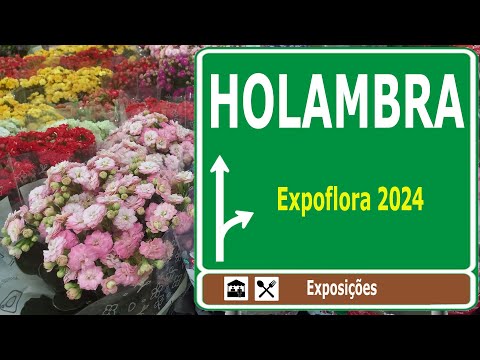 Passeio a Holambra - Expoflora