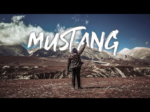 Mustang, Lete during Lockdown | S02E02 | 4K