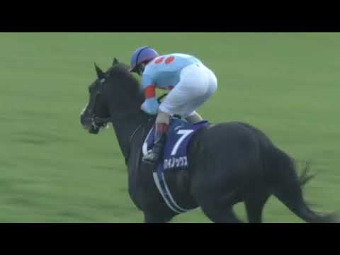 2022 JRA TOKYO Tenno Sho Autumn