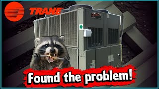 Trane Chiller Repair — Binding LLID Sensors and Unexpected Raccoon Damage