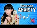 This Is Why You Re Anxious All The Time