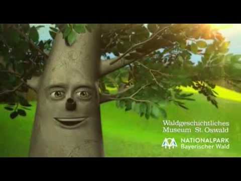 Die Fotosynthese kinderleicht erklärt - Nationalpark Bayerischer Wald