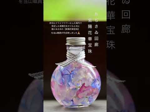 アジサイの剪定方法は？避けるべき最も一般的な間違い  庭園