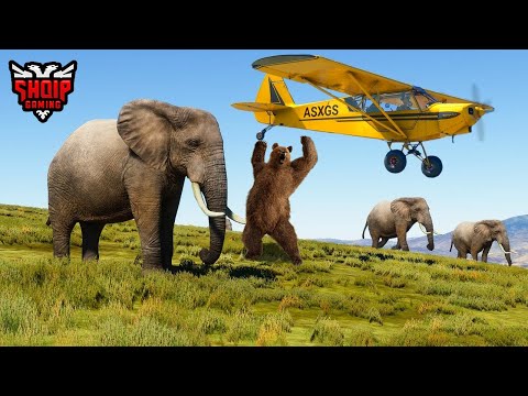 Katuni me Plot Kafsh të Egra !! - SHQIPGaming