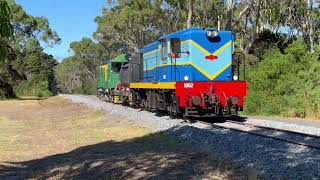 The Don River Railway's 50th Anniversary