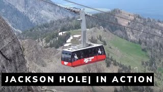 Summertime in Jackson Hole, Wyoming