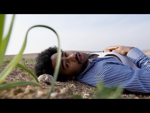 DEAD DAWG - WEITER WEITER (Prod. by MotB) | BHZ