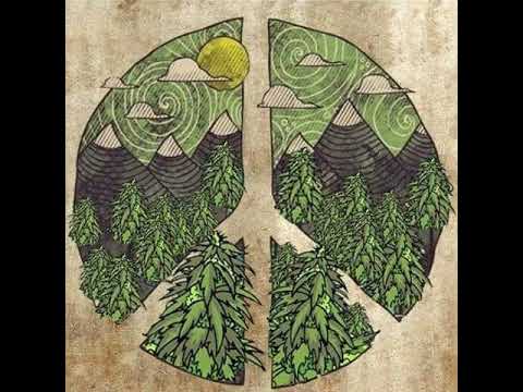 OVER THOSE OF YOUNG WISE 1096 GANG