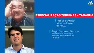 Miniatura do vídeo