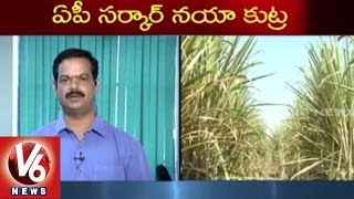 AP Govt Conspire on Telangana State | Export of Molasses Distillery Spirit | V6 News