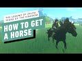 The Legend of Zelda: Tears of the Kingdom - How to Tame and Register a Horse