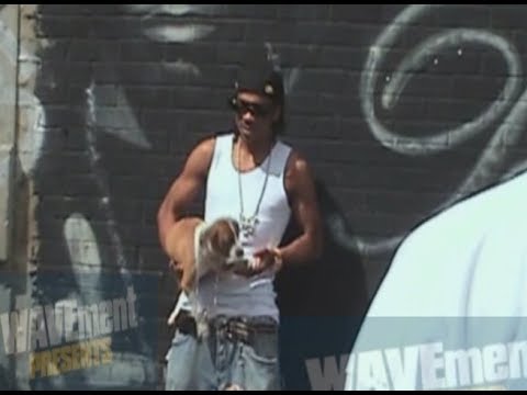 Max B Ft Jim Jones - Credibility (Official Video)