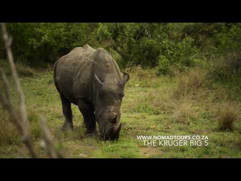 Kruger National Park