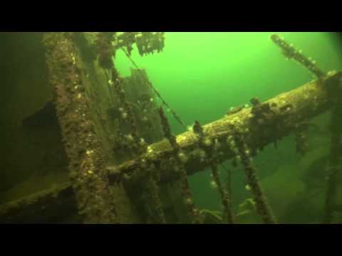 Wracktauchgang MS Hamo, Wrack MS Hamo,Norwegen