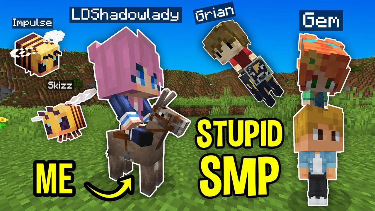 We Started the Stupidest SMP