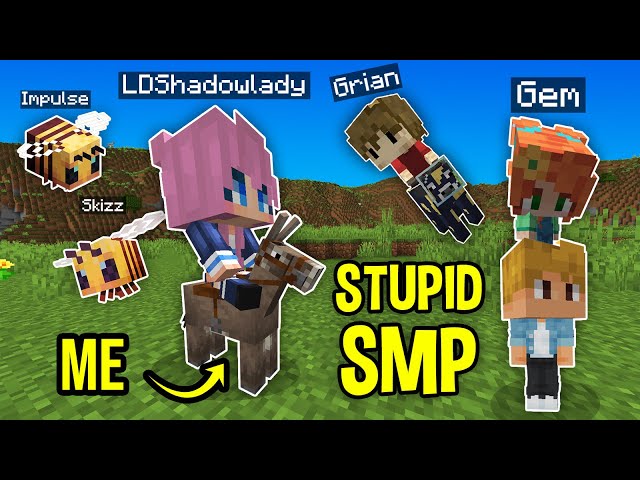 We Started the Stupidest SMP