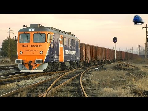 LDE2100 609 012-3 & Marfar GFR Freight Train in Gara Episcopia Bihor Station - 10 January 2020