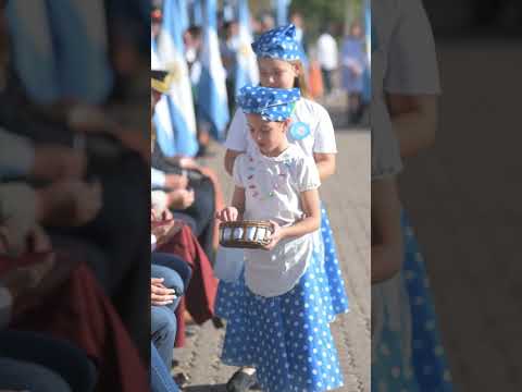 25 De Mayo Villa Elisa