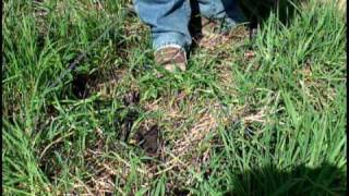 Finding a Cut Perimeter Wire using an AM Radio