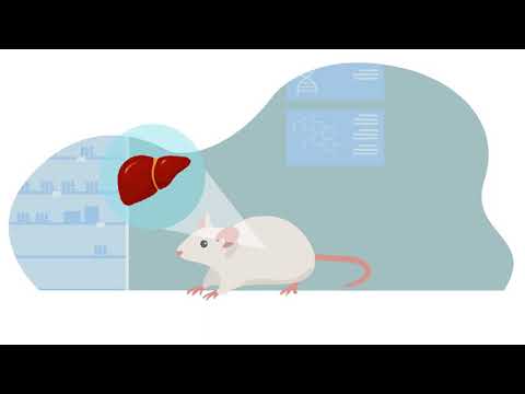 Cytoglobin: key player in preventing liver disease