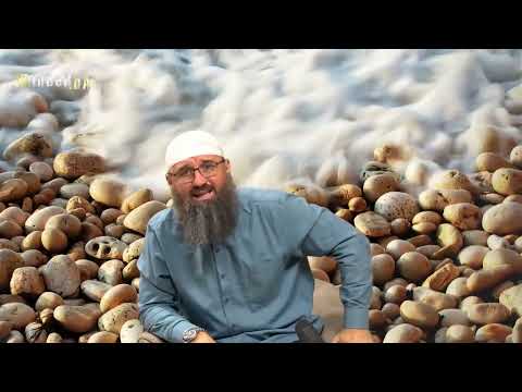 Kako u Islamu izraziti saučešće osobi koja je imala smrtni slučaj u porodici? - Elvedin Pezić