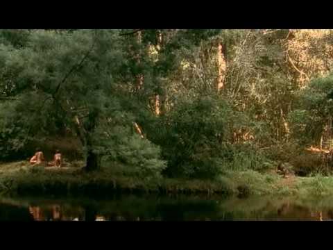 Odissea de la Especie: 5 Erectus.avi