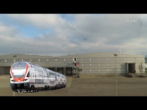 Zug Mitfahrt Niederweningen - Rapperswil , Steinmaur - Dielsdorf , Train ride, Viagem de trem